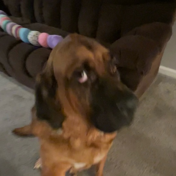 Meet your Posher - Picture 1 of 1